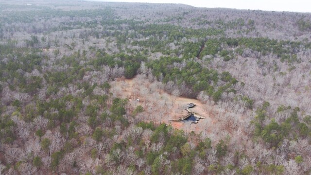 5072 Ga Highway 0116, Hamilton, GA 31811 - photo 33