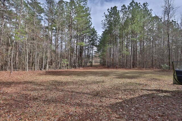 5072 Ga Highway 0116, Hamilton, GA 31811 - photo 53
