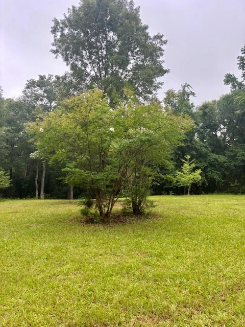 5072 Ga Highway 0116, Hamilton, GA 31811 - photo 3