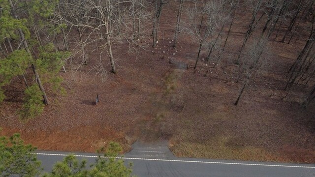 5072 Ga Highway 0116, Hamilton, GA 31811 - photo 38