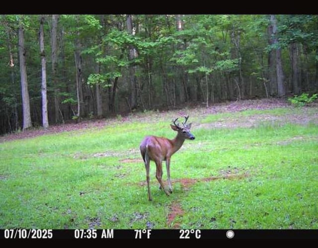 5072 Ga Highway 0116, Hamilton, GA 31811 - photo 76