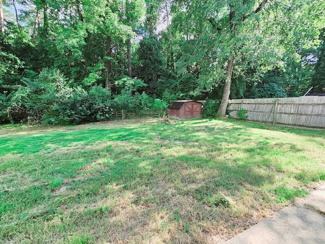 view of yard featuring a shed