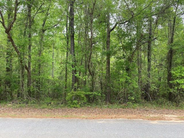 188 Lafayette Rd, Cusseta GA, 31805 land for sale