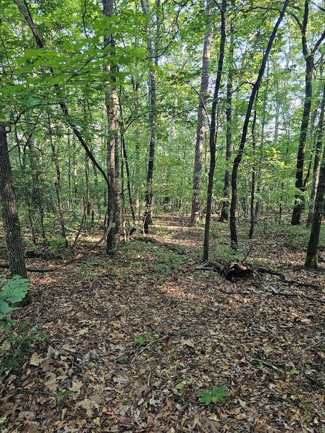 BLK33LOT06 Juniper Way, Waverly Hall, GA 31831