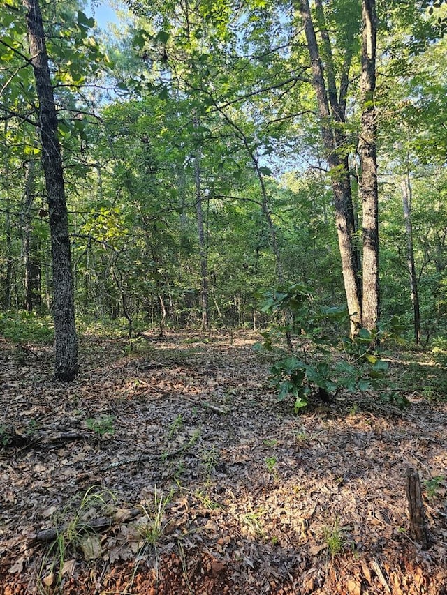 BLK33LOT06 Juniper Way, Waverly Hall, GA 31831