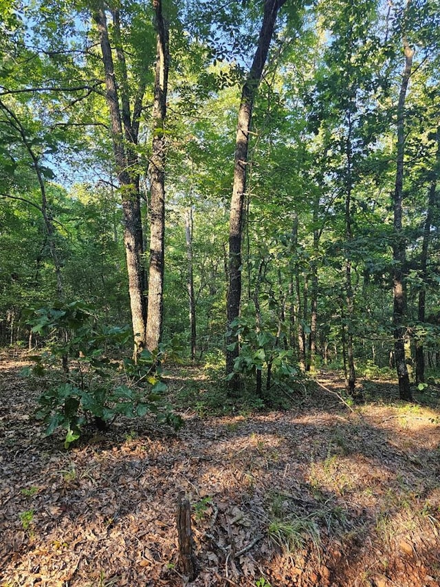 BLK33LOT06 Juniper Way, Waverly Hall, GA 31831