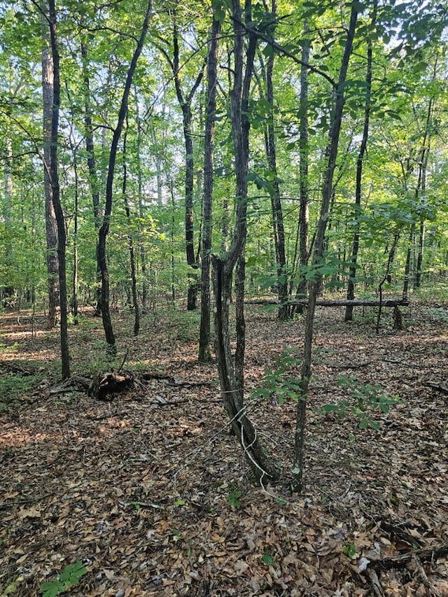 BLK33LOT06 Juniper Way, Waverly Hall, GA 31831