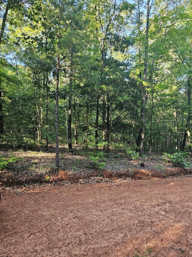 BLK33LOT06 Juniper Way, Waverly Hall, GA 31831