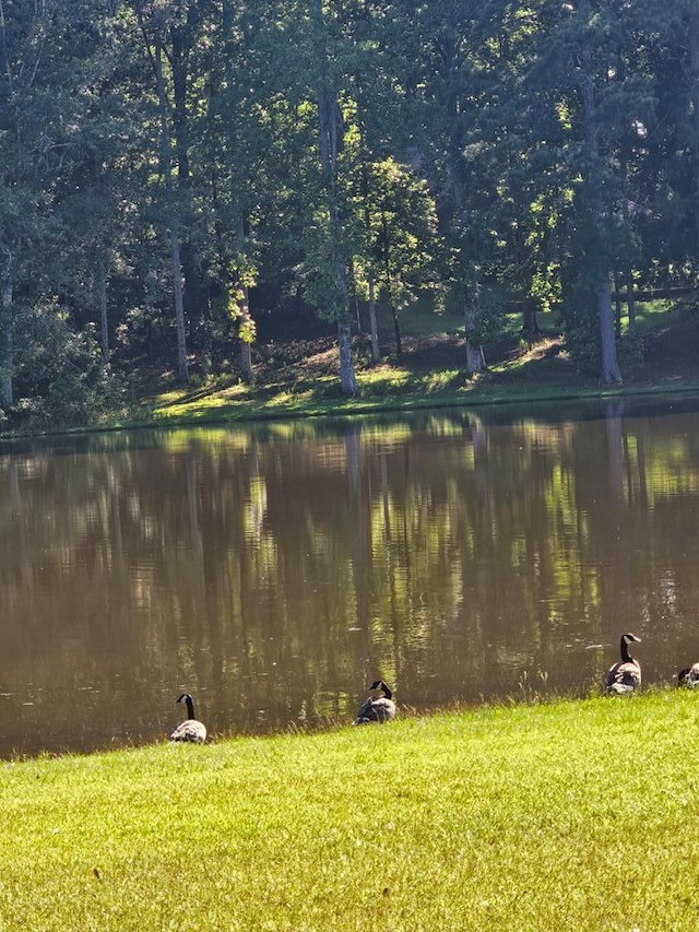 BLK33LOT06 Juniper Way, Waverly Hall, GA 31831