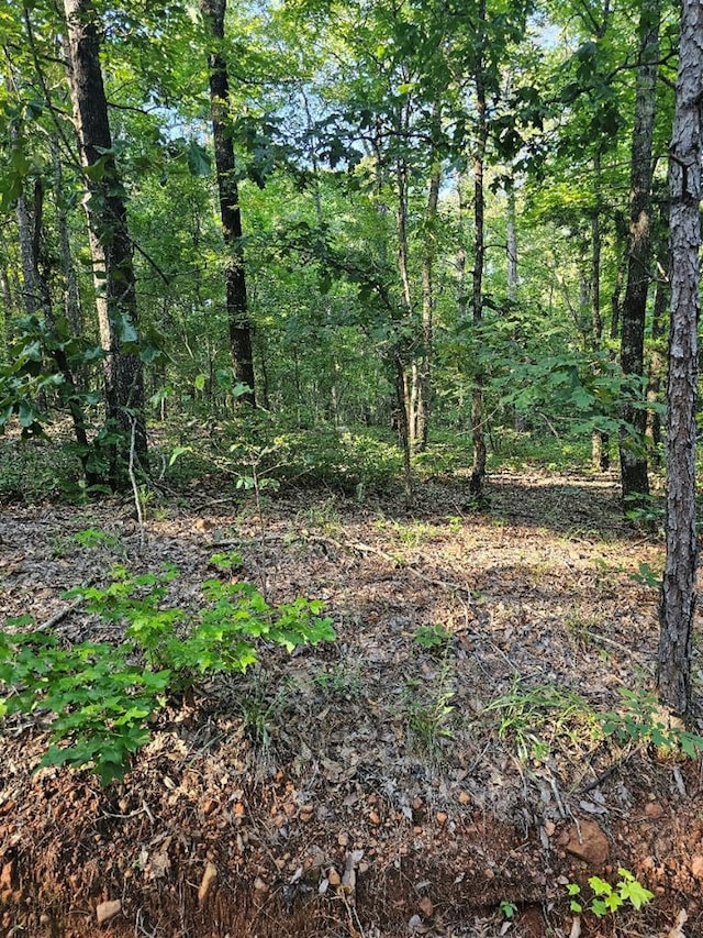 BLK33LOT06 Juniper Way, Waverly Hall, GA 31831