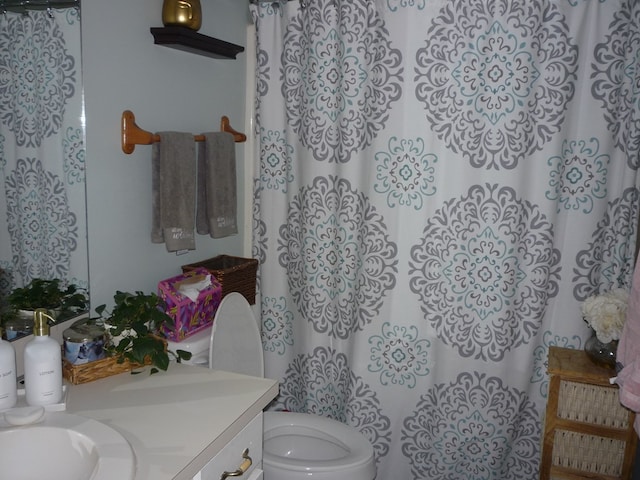 bathroom with toilet and vanity