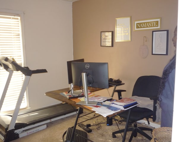 view of carpeted office space