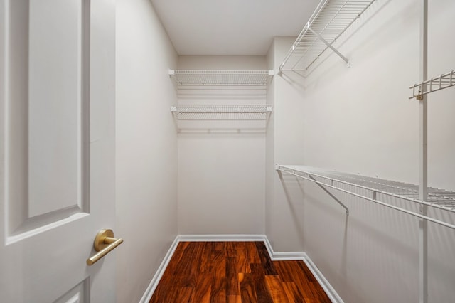 walk in closet with dark wood-style floors