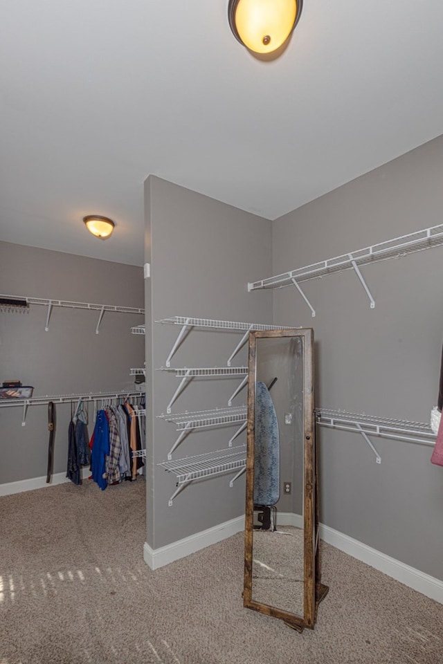 walk in closet with carpet floors