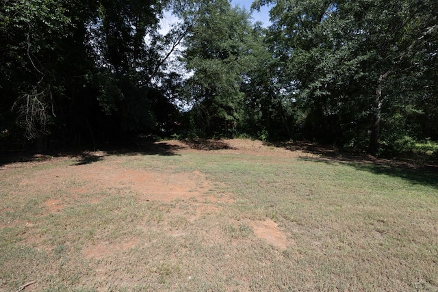 20 Benning Dell Dr, Columbus, GA 31903 - view of green lawn