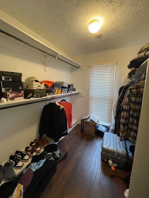 spacious closet with wood finished floors