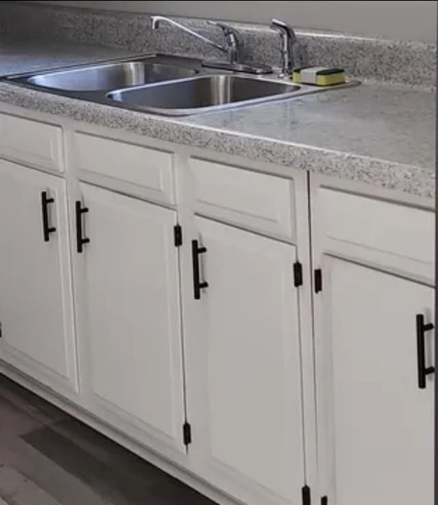166 Pine Ridge Dr, Union Springs, AL 36089 - kitchen view of a sink, white cabinets, and light countertops