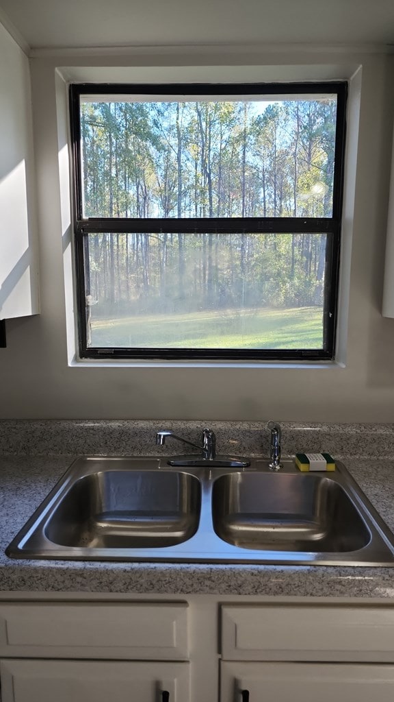 166 Pine Ridge Dr, Union Springs, AL 36089 - kitchen view of white cabinets and a sink