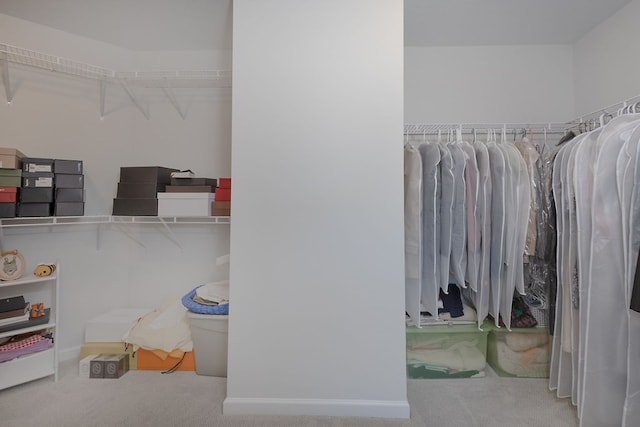 walk in closet with carpet floors