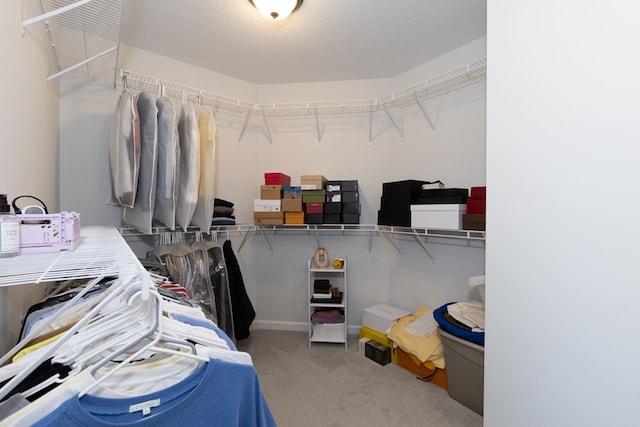 walk in closet featuring carpet floors