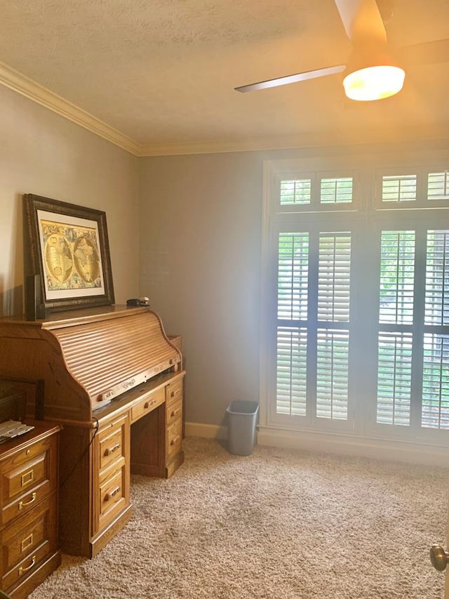 1018 Annbriar Ln, Columbus, GA 31909 - office area with light colored carpet, crown molding, baseboards, and a textured ceiling