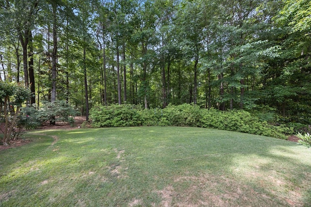 view of green lawn