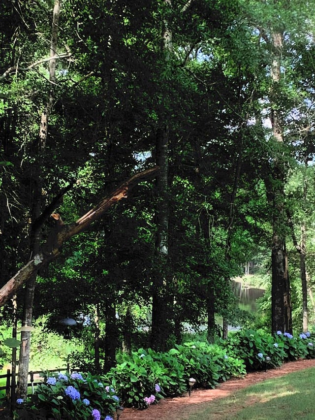 1018 Annbriar Ln, Columbus, GA 31909 - view of wooded area