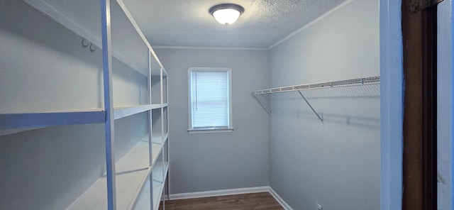 1526 Barcelona Dr, Columbus, GA 31907 - spacious closet with dark wood finished floors