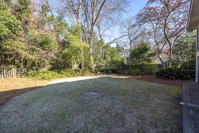 view of yard featuring a fenced backyard