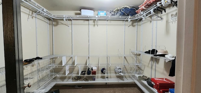 view of spacious closet