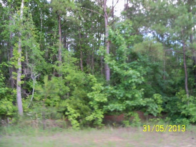 0 Old Louvale Rd, Cusseta, GA 30805 - photo 1