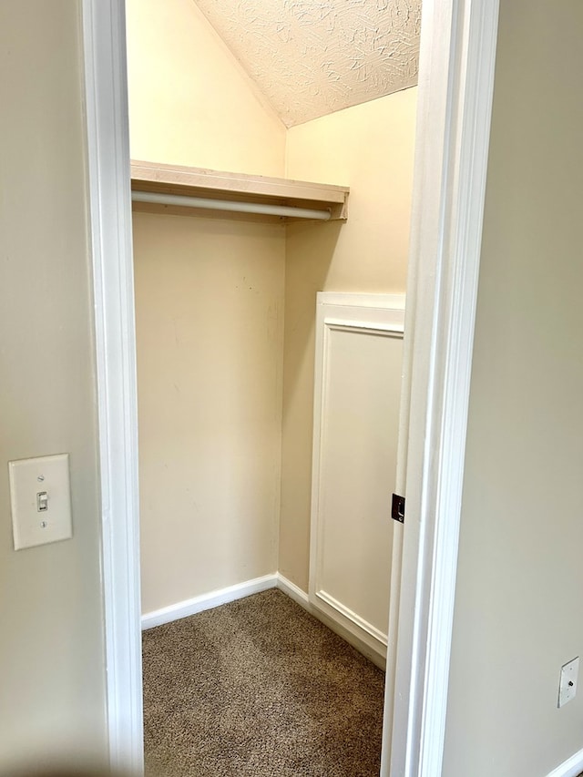 spacious closet with carpet flooring and vaulted ceiling