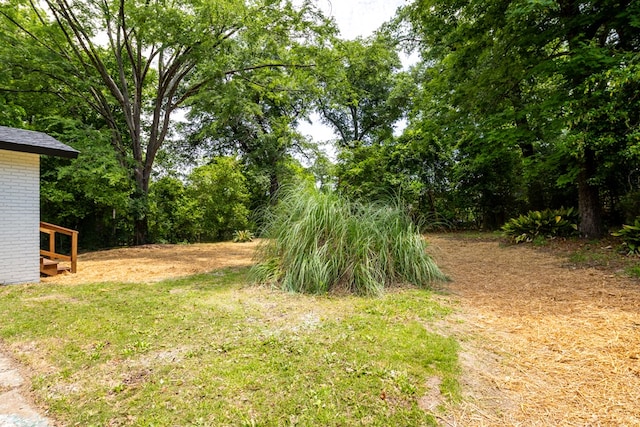 754 Wright Dr, Columbus, GA 31907 - view of yard