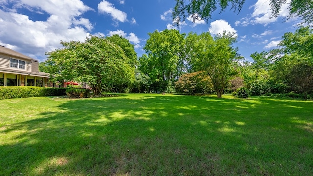 438 Newport Pl, Columbus, GA 31904 - view of grassy yard