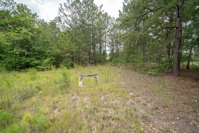 21 Green Dudley, Salem, AL 36874 - photo 15