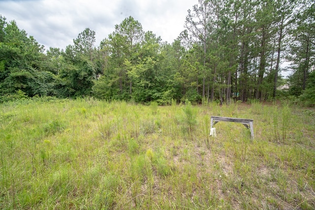21 Green Dudley, Salem, AL 36874 - photo 14