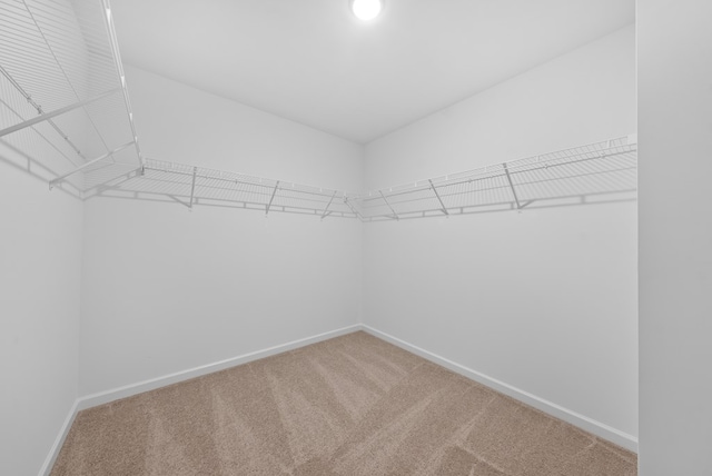 2276 Webbed Way, Opelika, AL 36804 - walk in closet with carpet