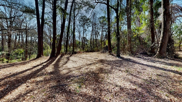 view of nature with a wooded view