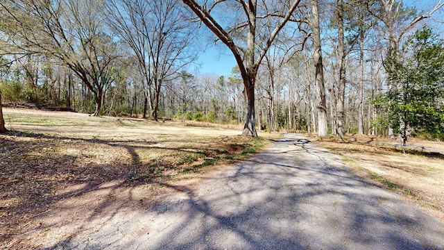 view of road with a view of trees