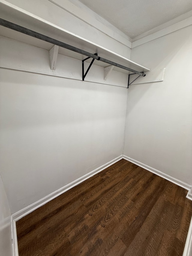 walk in closet with dark wood-style floors