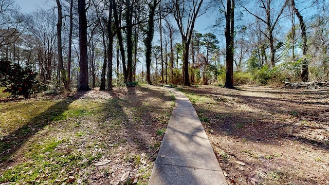 view of road