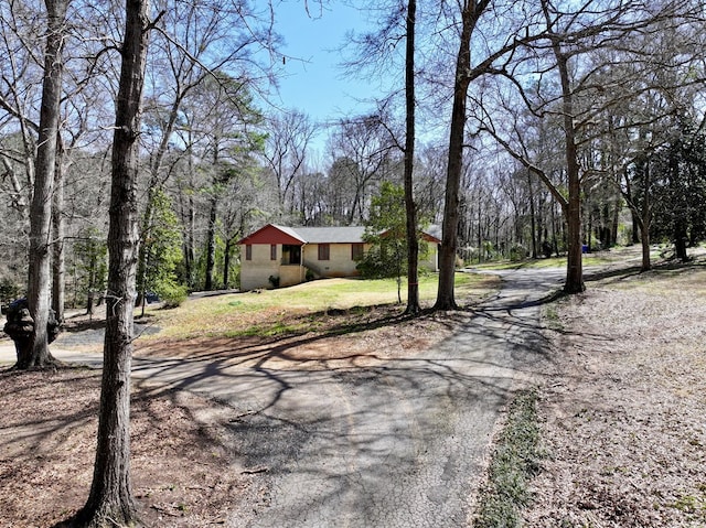 view of yard featuring driveway and a view of trees