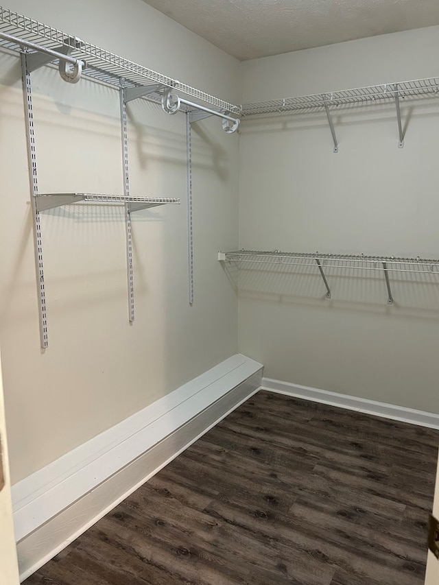 spacious closet with wood finished floors
