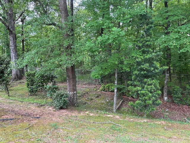 view of nature with a view of trees