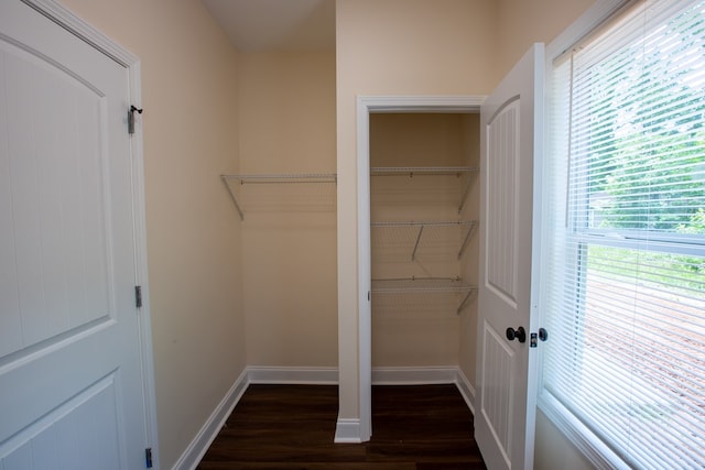 923 Omega Dr, Columbus, GA 31907 - spacious closet with dark wood-style floors