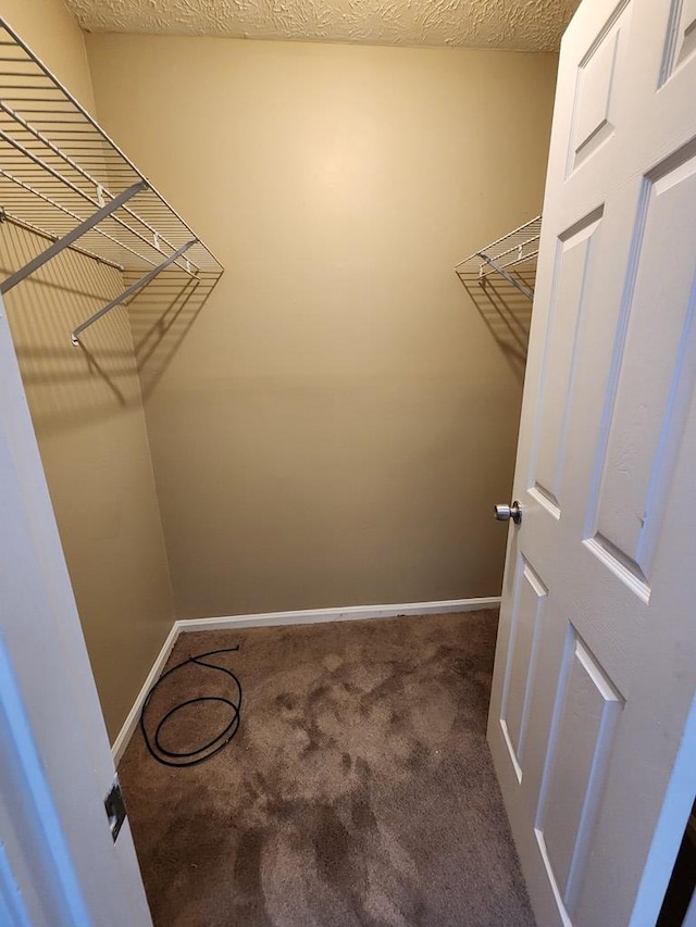 spacious closet featuring carpet