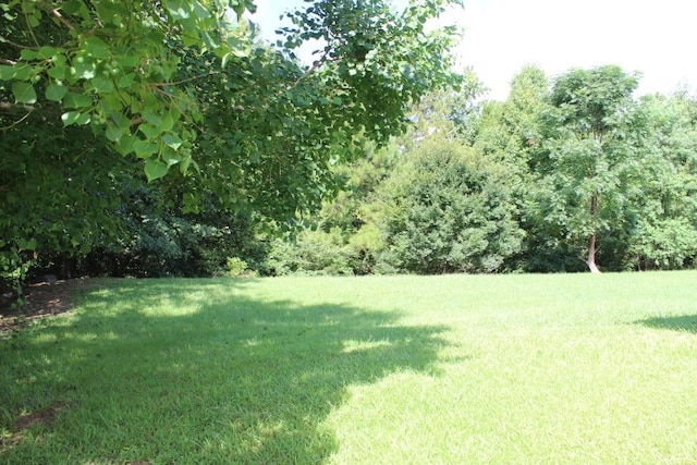 9590 English Ivy Ct, Fortson, GA 31808 - photo 15