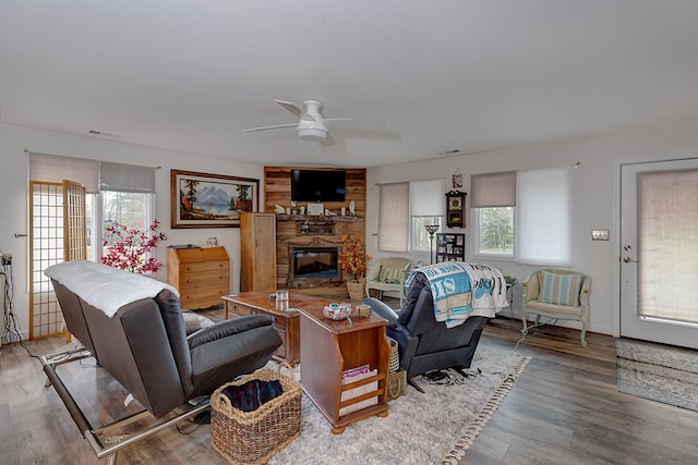 living room featuring ceiling fan, a large fireplace, plenty of natural light, and hardwood / wood-style floors