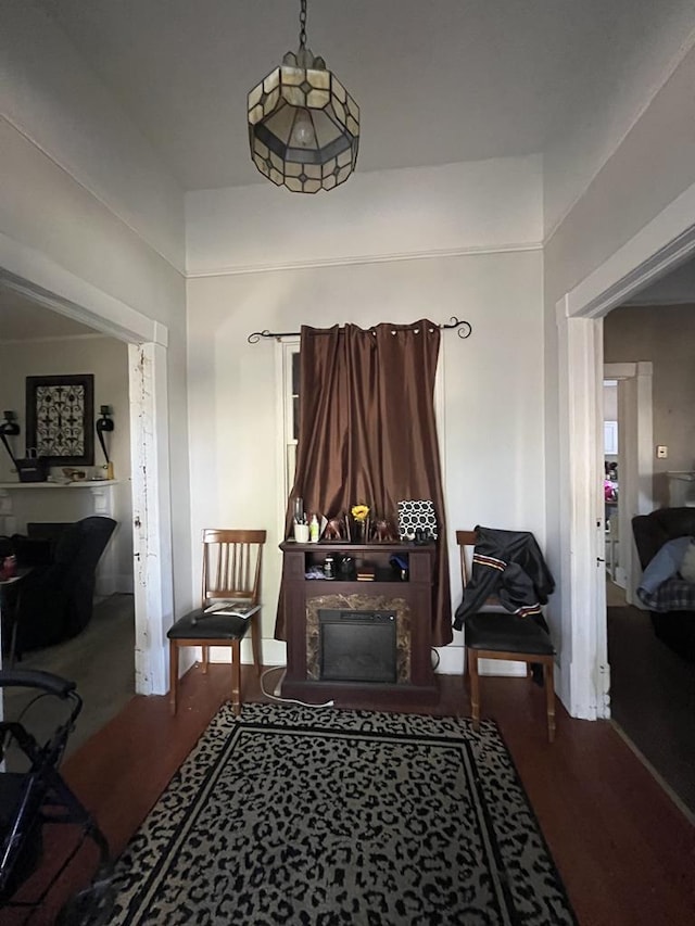 living area featuring wood finished floors and a fireplace