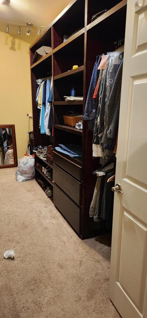 spacious closet with carpet flooring